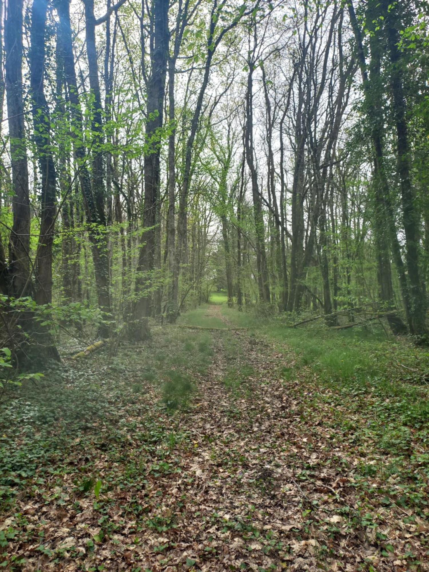 مبيت وإفطار Becheresse Domaine Chez Maurice المظهر الخارجي الصورة