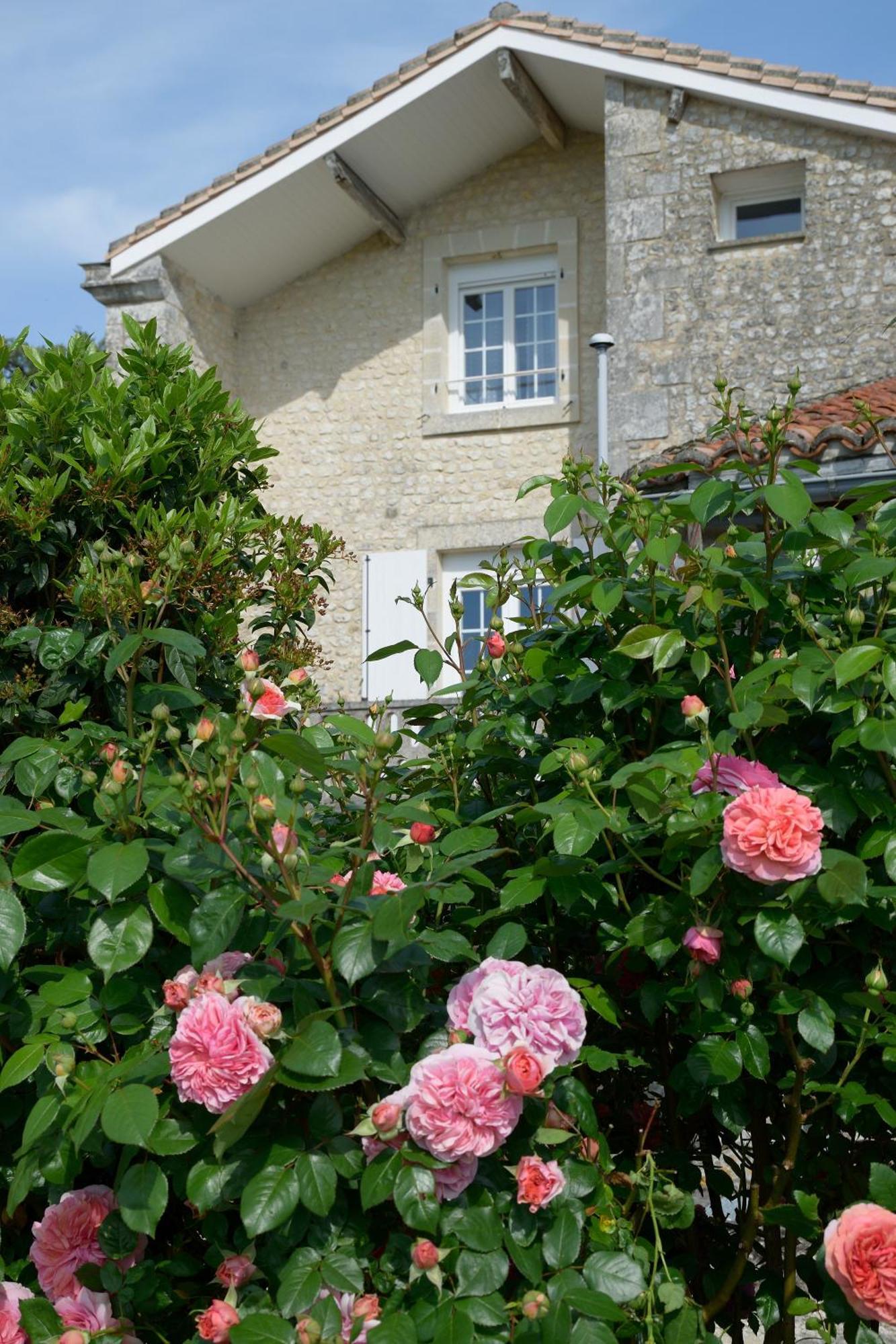 مبيت وإفطار Becheresse Domaine Chez Maurice المظهر الخارجي الصورة