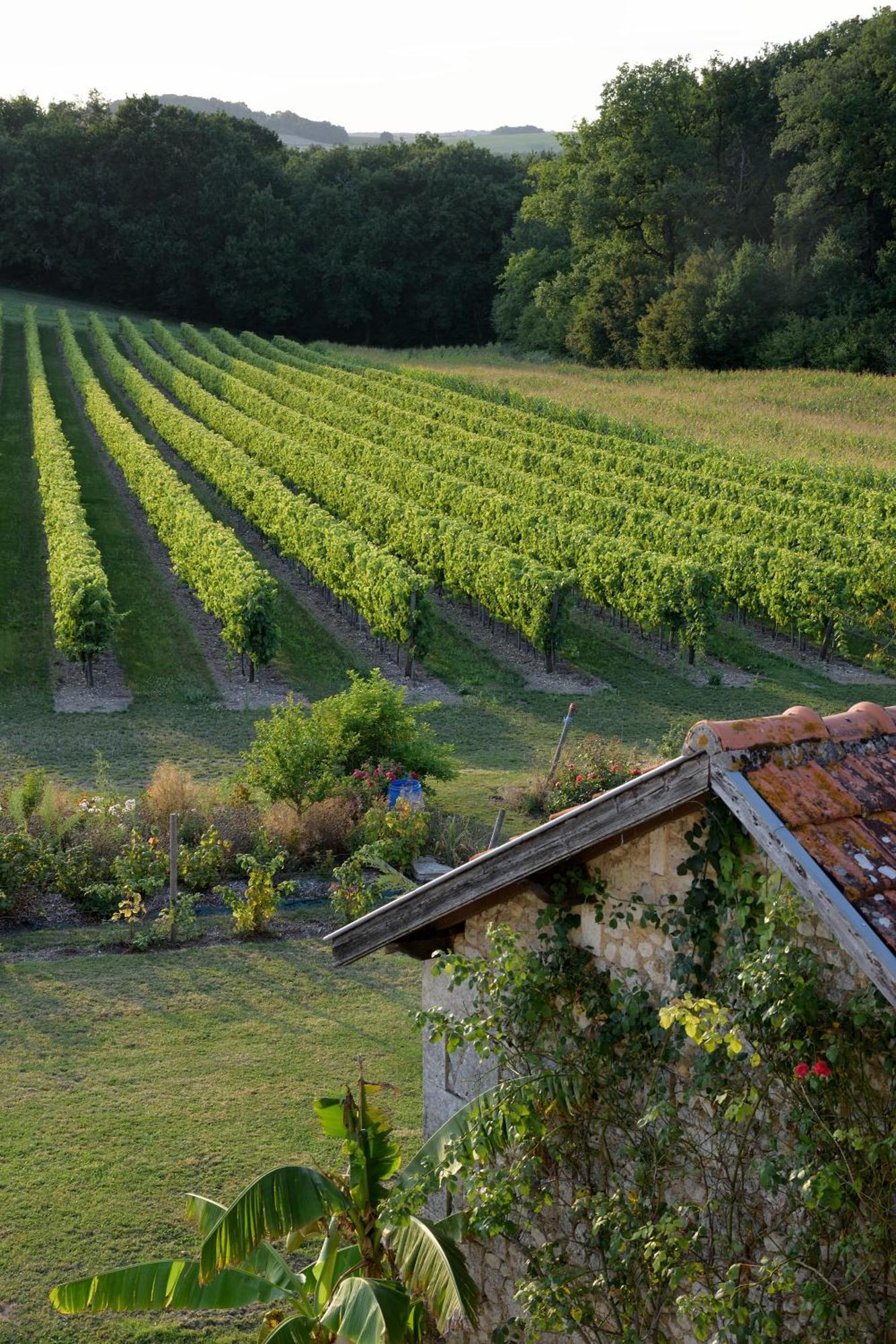 مبيت وإفطار Becheresse Domaine Chez Maurice المظهر الخارجي الصورة